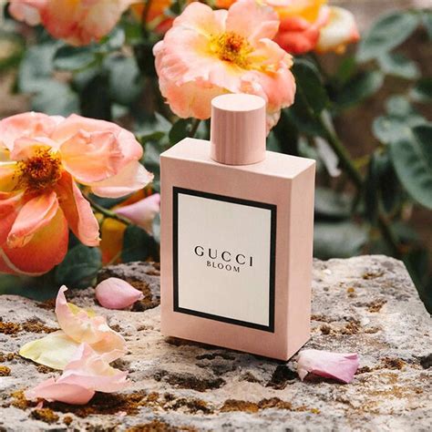 gucci hồng|gucci hoa bloom.